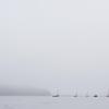 "Fog Blanket", photography by Anita Winstanley Roark.  Contact us for edition and size availability.  