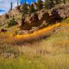 "A Blaze of Gold", photography by Anita Winstanley Roark.  Contact us for edition and size availability.  