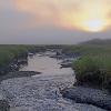 "Morning Fog over Sesuit Creek", photography by Anita Winstanley Roark.  Contact us for edition and size availability.