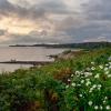 "Summer Storm, Nobska Point", photography by Anita Winstanley Roark.  Contact us for edition and size availability.