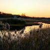 "Sesuit Creek Sunset ", photography by Anita Winstanley Roark.  Contact us for edition and size availability.