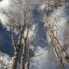 "Aspen Skies, Colorado Springs" Presented as a hand-glazed pigment print  in a limited edition of 10.  Contact us for edition and size availability.  Also offered as as an unframed open-stock print.