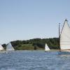 "The Race Begins, APBY 2014 Cat Gathering", photography by Anita Winstanley Roark.  Contact us for edition and size availability.  