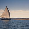 "Afternoon Sail, Conjurer", photography by Anita Winstanley Roark  Contact us for edition and size availability.  