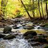 "Autumn Morning Light, VT" Presented as a hand-glazed pigment print  in a limited edition of 10.  Contact us for edition and size availability.  Also offered as as an unframed open-stock print.
