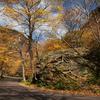 "Mountain Pass" Presented as a hand-glazed pigment print  in a limited edition of 10.  Contact us for edition and size availability.  Also offered as as an unframed open-stock print.