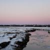 "Winter's Gloamin, Sesuit Creek", photography by Anita Winstanley Roark.  Contact us for edition and size availability. 