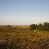 "Autumn Pathway, Ft. Hill", photography by Anita Winstanley Roark.  Contact us for edition and size availability.  