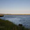 "Transitioning Marsh", photography by Anita Winstanley Roark.  Contact us for edition and size availability.  